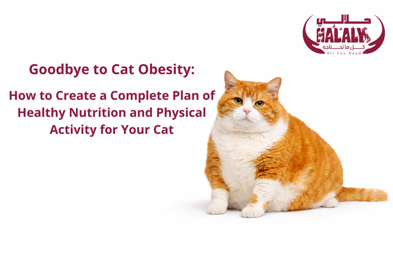 Goodbye to Cat Obesity: How to Create a Complete Plan of Healthy Nutrition and Physical Activity for Your Cat